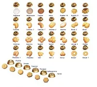 Тестоотсадочная машина в напольном исполнении МТК-100А/2